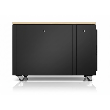 APC AR4012A NetShelter Soundproof 12U, Server Rack Enclosure (AR4012A)
