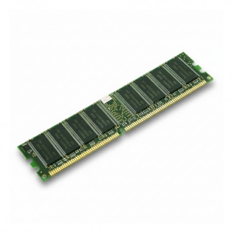Netgear RMEM02-10000S DRAM Memory Module (RMEM02-10000S)
