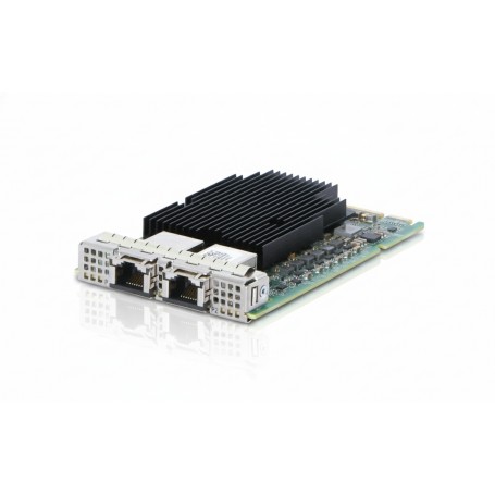 HPE P13345-001 Networking 10Gb 2-Port Ethernet Card (P13345-001)