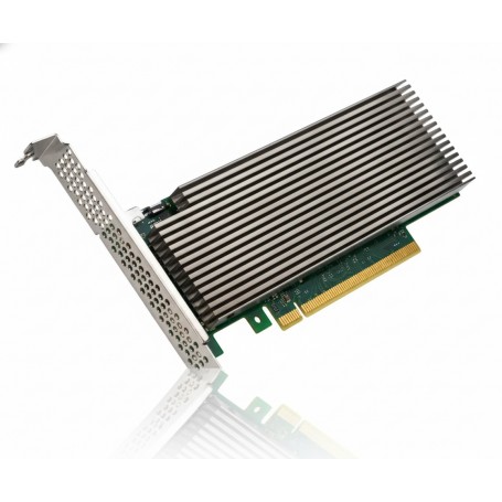 HPE P45330-001 ACC100 VRAN Dedicated Accelerator (P45330-001)