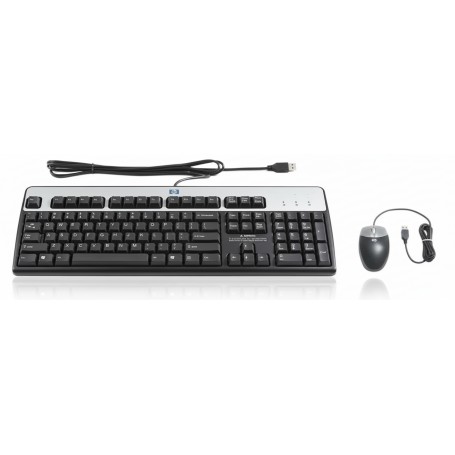HPE 631341-B21 USB Keyboard Mouse Kit (631341-B21)