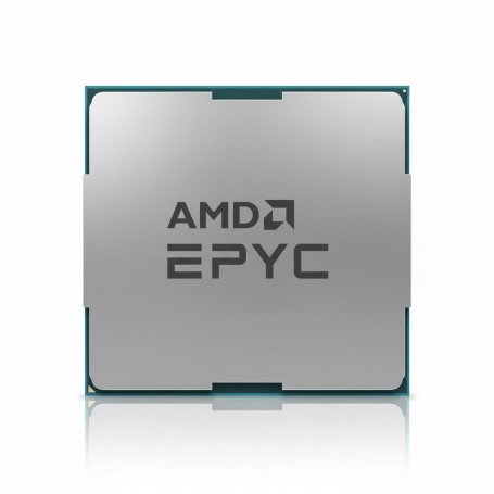 HPE P53702-B21 AMD EPYC 9124  3 GHz processor (P53702-B21)