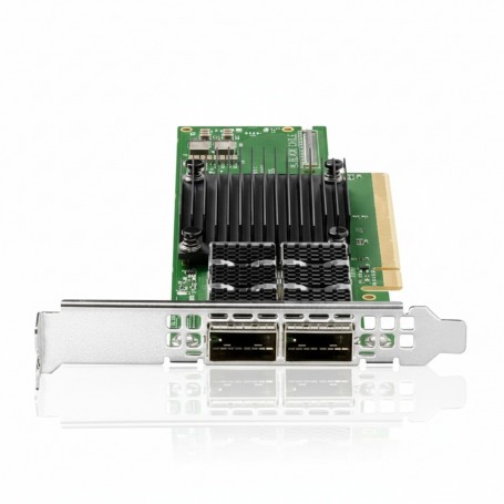 HPE P08255-B21 Ethernet 100Gb 1-port Network Adapter (P08255-B21)