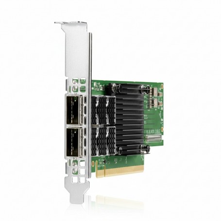 HPE P08256-001 100Gb 2-Port Network Gigabit Ethernet Adapter (P08256-001)