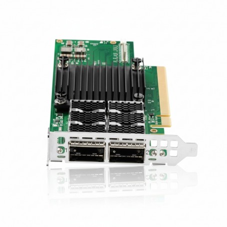 HPE P06251-H21 Ethernet 100Gb 2-port Network Adapter (P06251-H21)