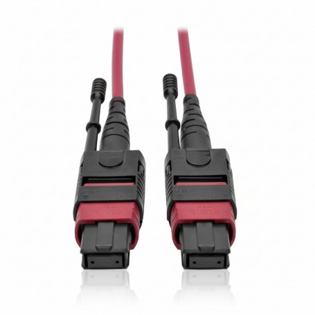 Eaton N845-10M-12-MG Tripp Lite 10m 12-Fiber OM4 MTP/MPO Cable (N845-10M-12-MG)
