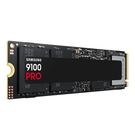 Samsung MZ-VAP8T0B/AM 8TB PM9A1 NVMe PCIe 4.0 x4 M.2 SSD (MZ-VAP8T0B/AM)