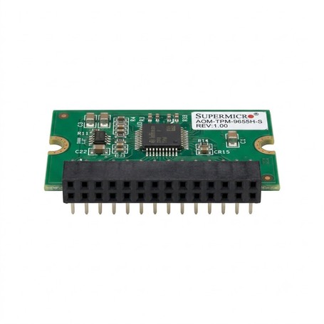 SUPERMICRO COMPUTER AOM-TPM-9655H-S Server Security Modules (AOM-TPM-9655H-S)